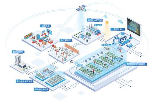 植物工廠有了智慧大腦 大數(shù)據(jù)賦能設(shè)施農(nóng)業(yè)新變革