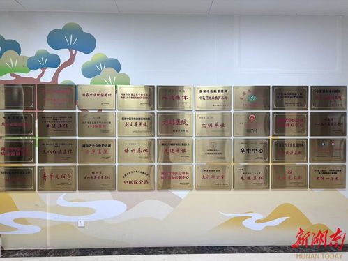 守護(hù)生命，晝夜不停——湖南省直中醫(yī)醫(yī)院動(dòng)物致傷門(mén)診24小時(shí)接診正式開(kāi)診