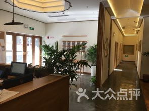 上海金橋醫(yī)院 融合現(xiàn)代醫(yī)療與中醫(yī)精髓，構(gòu)筑全方位健康服務(wù)體系